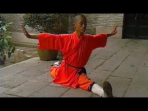 kung fu beginner training